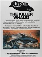 杀人鲸在线观看