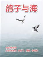 鸽子与海