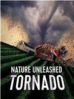 Nature Unleashed: Tornado