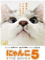 猫咪物语5