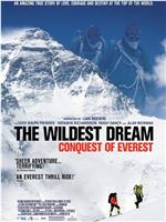 最狂野的梦想：征服珠峰在线观看
