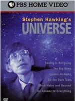 斯蒂芬·霍金的宇宙在线观看