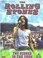 The Stones in the Park在线观看