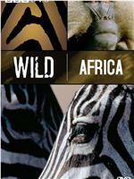 野性非洲