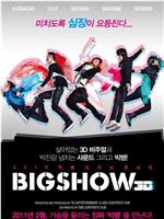 2010 Big Bang演唱会Big Show 3D在线观看