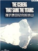 摧毁泰坦尼克号的冰山杀手在线观看