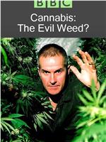 BBC 地平线系列：大麻：罪恶之种？在线观看