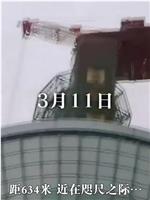 [NHK]东京天空树 世界第一高塔的建筑历程在线观看