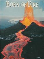 火山爆发在线观看