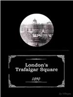 伦敦特拉法加广场在线观看