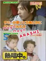 Mago Mago Arashi