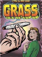 Grass在线观看