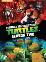 忍者神龟 第二季在线观看