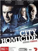 城市凶杀组  第三季在线观看