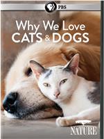 Nature: Why We Love Cats and Dogs