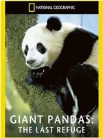 拯救大熊猫在线观看