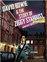 大卫·鲍伊与Ziggy Stardust的故事在线观看