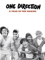 One Direction: A Year in the Making在线观看