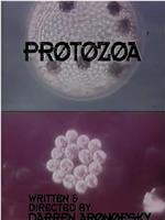 Protozoa