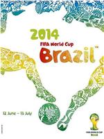2014年巴西世界杯在线观看