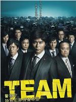 TEAM～警视厅特别犯罪搜查本部在线观看