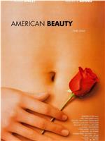 American Beauty: Look Closer...