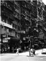 消失的记忆：香港九龙寨城在线观看