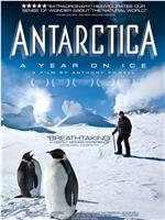 南极洲：冰上的一年