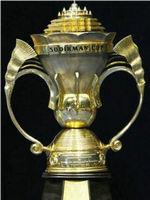 2015苏迪曼杯