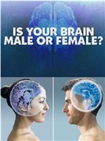 你的大脑是男性还是女性