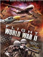 空中世界二战在线观看