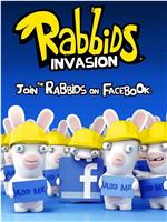 疯狂的兔子：入侵 第一季在线观看