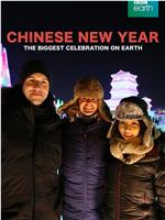 中国新年：全球最大庆典在线观看