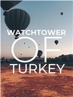 土耳其瞭望塔在线观看