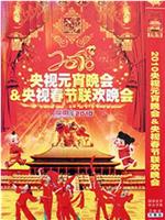 2010年中央电视台元宵晚会在线观看