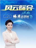 杨澜访谈录-G20峰会特别节目在线观看