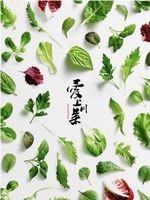 爱上川菜爱上四川在线观看