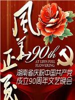 建党90周年文艺晚会在线观看