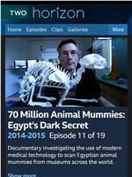 BBC地平线.七千万动物木乃伊.古埃及的暗黑秘密