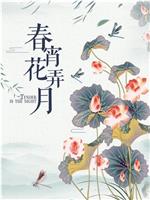 春宵花弄月在线观看