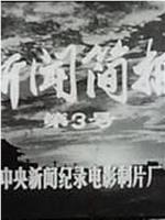 新闻简报1974年第3号在线观看