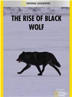 黑狼的崛起在线观看