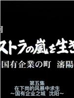 沈阳：公司改革的旋风在线观看