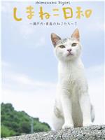 俺是猫，欢迎来俺家玩在线观看