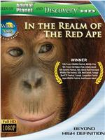 狂野亚洲：赤猿的领地在线观看
