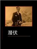 凤凰大视野：潜伏