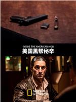美国黑帮秘辛在线观看