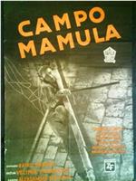 马穆拉战俘营