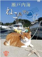 猫岛的来信