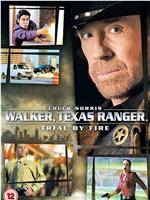 Walker, Texas Ranger: Trial by Fire在线观看